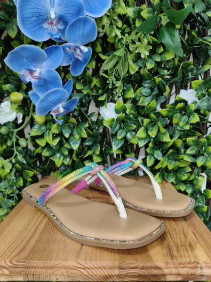 SANDALIA BRILLO MULTICOLOR
