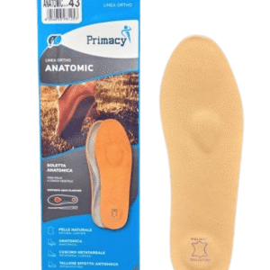 PLANTILLA ANATOMICA PIEL